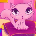 Красивая розовая кошка
